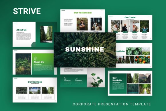Elevating Visual Storytelling with the Sunshine Presentation Template