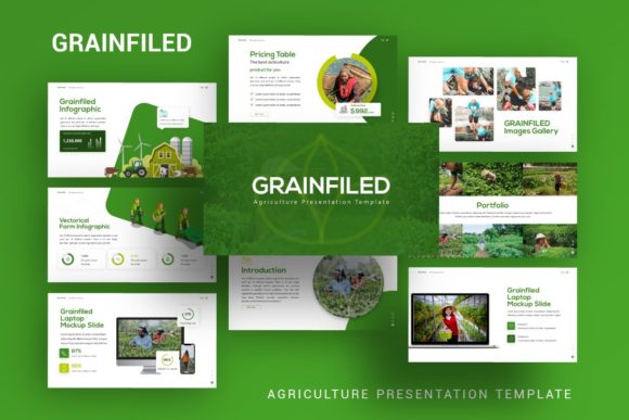 Evaluating Presentation Template - Grainfiled for Professional Use
