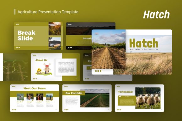 Presentation Template - Hatch: A Strategic Asset for Visual Communication